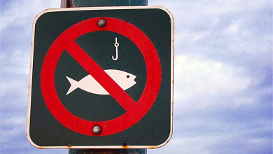 Житель Лунинецкого района нарушил запрет на лов рыбы и попал под уголовную статью