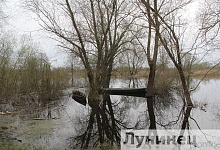 Нерест! Под особым контролем водоемы и реки Беларуси! 