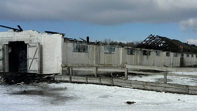 Пажар на ферме ў Багданаўцы: эвакуіравана сто цялят