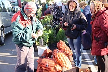 Цены хорошие. Первая осенняя ярмарка в Лунинецком районе