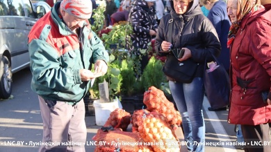 Цены хорошие. Первая осенняя ярмарка в Лунинецком районе