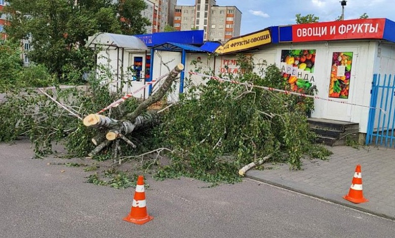 Последствия непогоды в Брестской области 