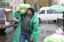 Цены отличные! Ярмарка прошла в Микашевичах