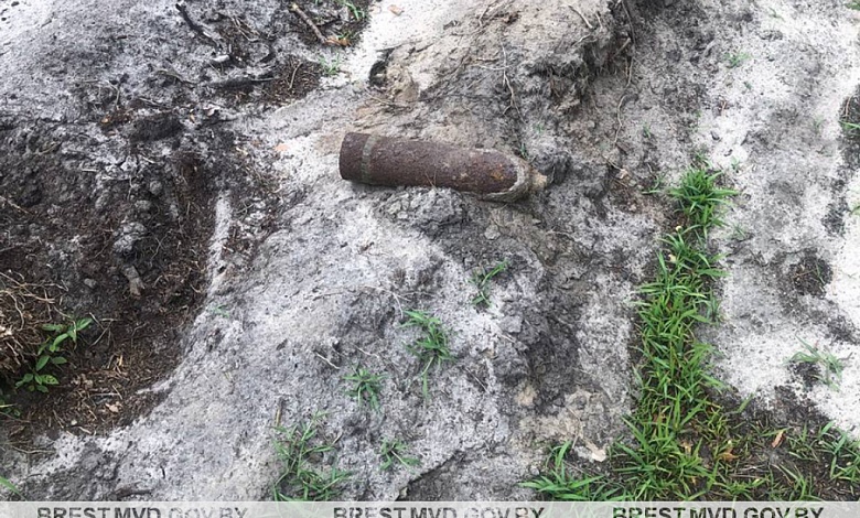 Опасные «сувениры» находят в Брестской области