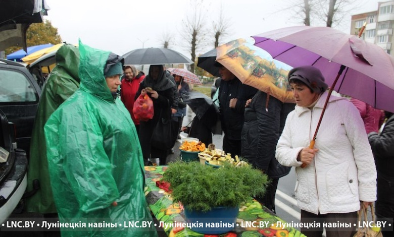 Цены отличные! Ярмарка прошла в Микашевичах