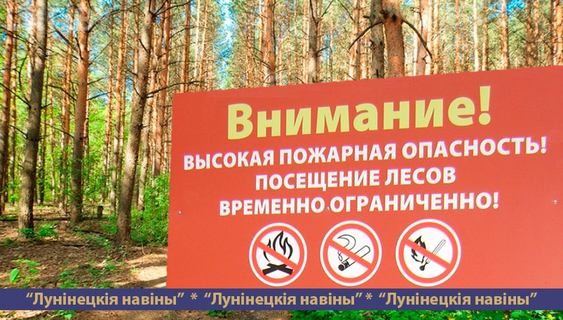 Photo of Запрет на посещение лесов введен на Лунинетчине из-за высокого класса пожарной опасности