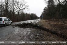 Photo of Энергетики Брестской области увеличили число аварийных бригад из-за усиления ветра