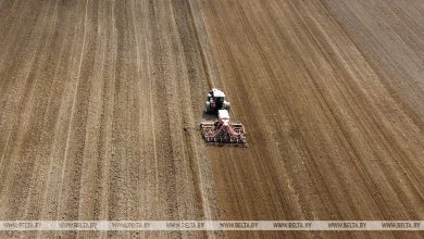 Photo of Дополнительные 3,5 тыс. га земель вовлечены в сельхозоборот в Брестской области