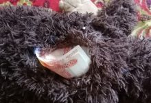 Photo of На Брестчине похищенные деньги бизнес-леди нашли зашитыми в мягкой игрушке