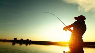 Photo of Новые правила рыбалки. Руками тоже можно…
