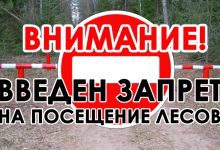 Photo of В Лунинецком районе введён запрет на посещение лесов