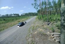Photo of Факт засорения леса выявлен Лунинецким лесхозом