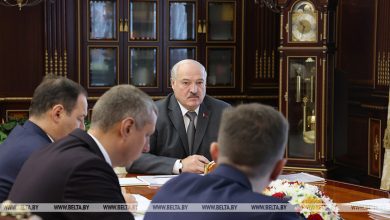 Photo of «Это не должно безнаказанно пройти». Лукашенко об «отжиме» белорусской доли в порту Клайпеды