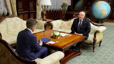 Photo of Лукашенко: Беларусь и Россия могут значительно продвинуться в плане импортозамещения