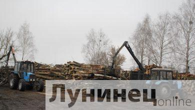 Photo of Поставки дров и торфобрикета в Лунинецком районе