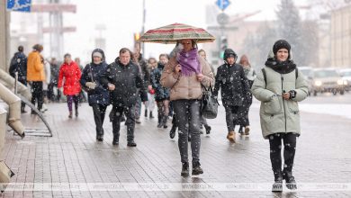 Photo of Социсследование: 69,4% белорусов считают прошлый год удачным