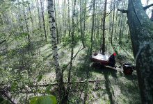 Photo of Житель Лунинецкого района съездил в лес и “насобирал” кучу административных статей