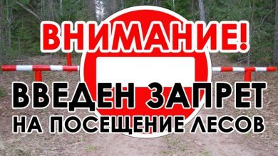 Photo of Запрет введён на посещение лесов в Лунинецком районе